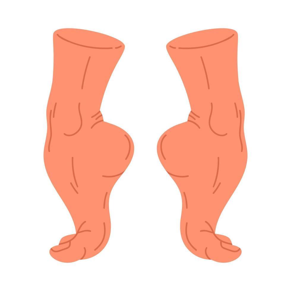 humano nu pés. fêmea descalço pernas, nu par pés dentro em pé posição plano isolado ilustração. mão desenhado pés em branco vetor