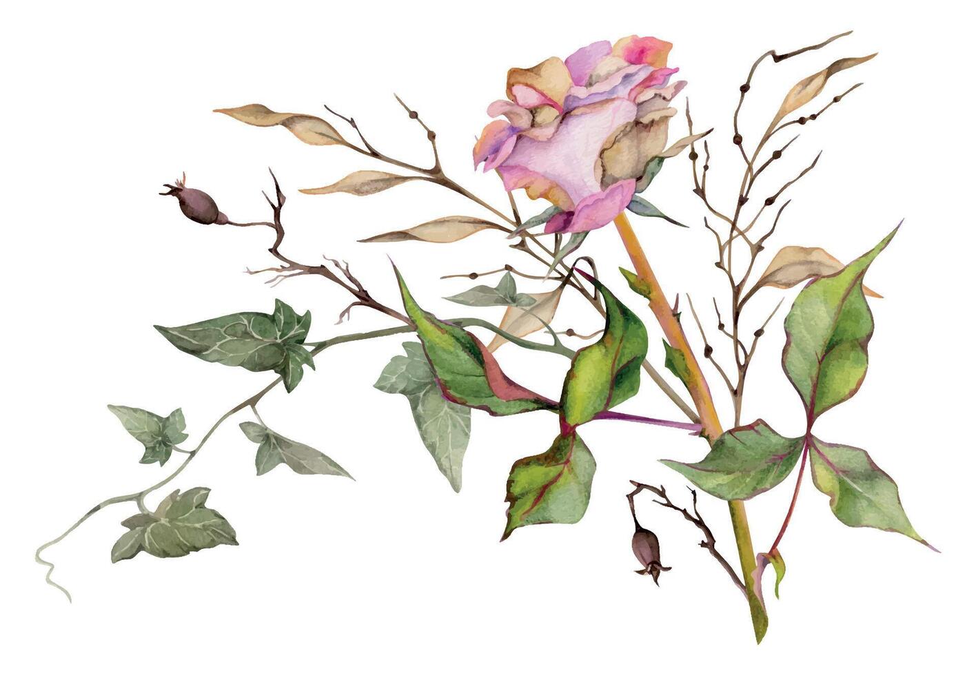 mão desenhado aguarela ilustração gasto boho botânico flores folhas. rosa quadril hera rosa outono galhos lunaria Rosa pastel. composição isolado em branco fundo. Projeto casamento, amor cartões vetor