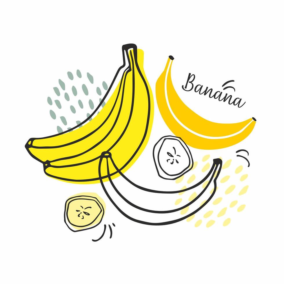 fruta conjunto do brilhante e suculento bananas. rabisco frutas. para cardápio, comprar, cartazes, adesivos, cartões, interior decoração. desenho animado Projeto. vetor