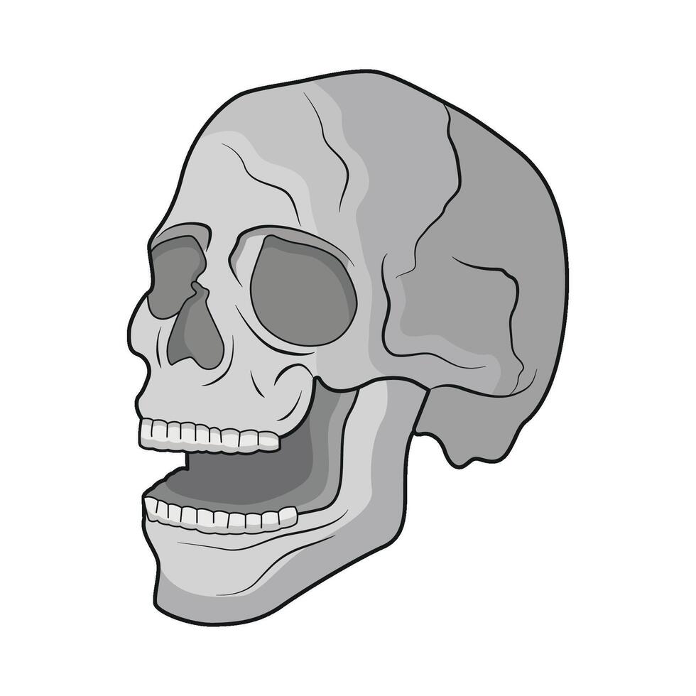 ilustração de crânio vetor