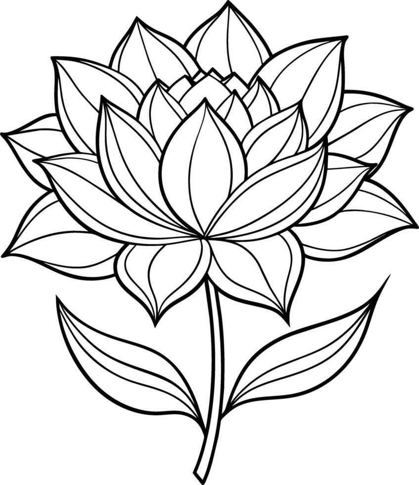 uma desenhando do uma lótus flor com folhas e folhas vetor