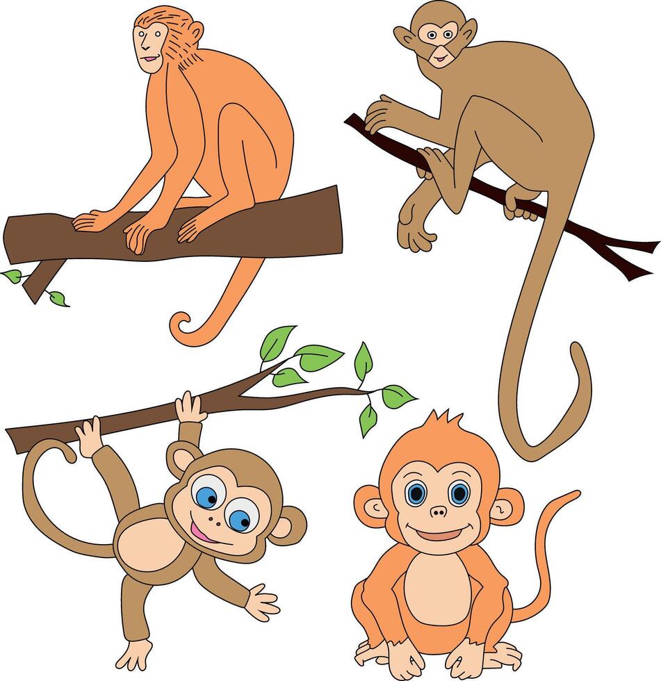 macaco clipart definir. desenho animado selvagem animais clipart conjunto para amantes do animais selvagens vetor
