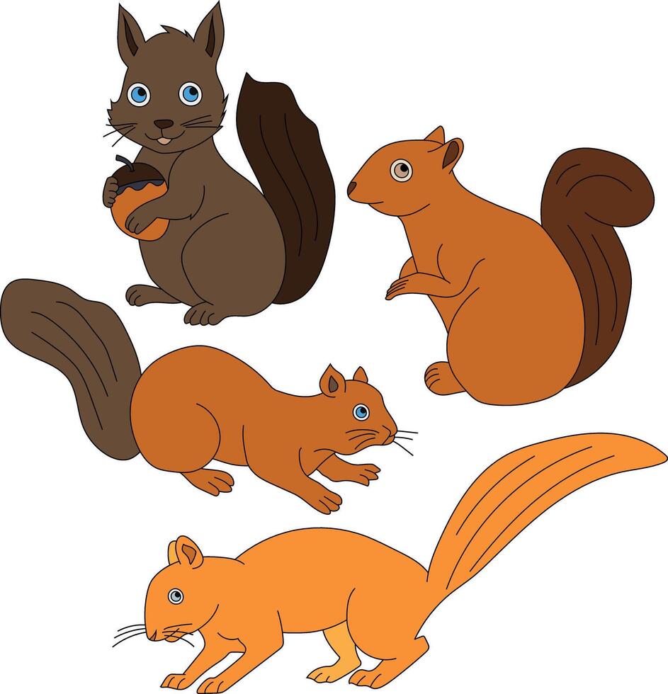 esquilo clipart definir. desenho animado selvagem animais clipart conjunto para amantes do animais selvagens vetor