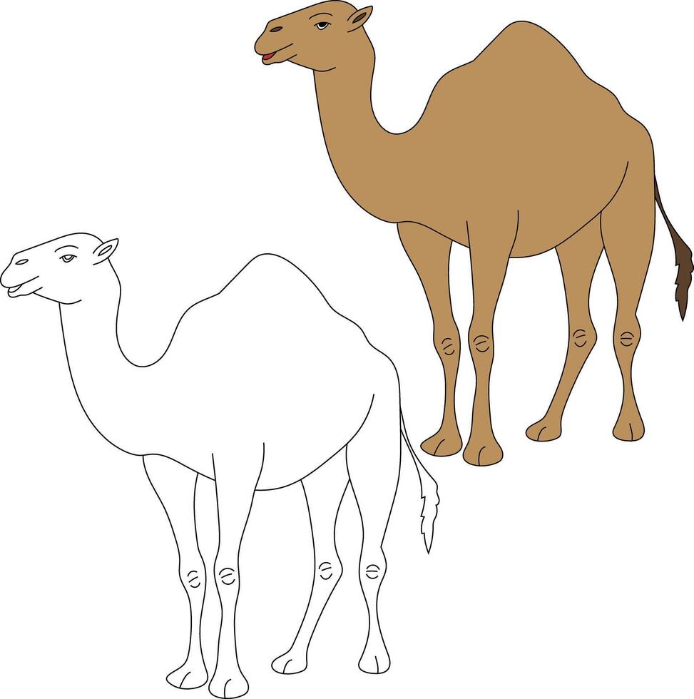 camelo clipart definir. desenho animado selvagem animais clipart conjunto para amantes do animais selvagens vetor