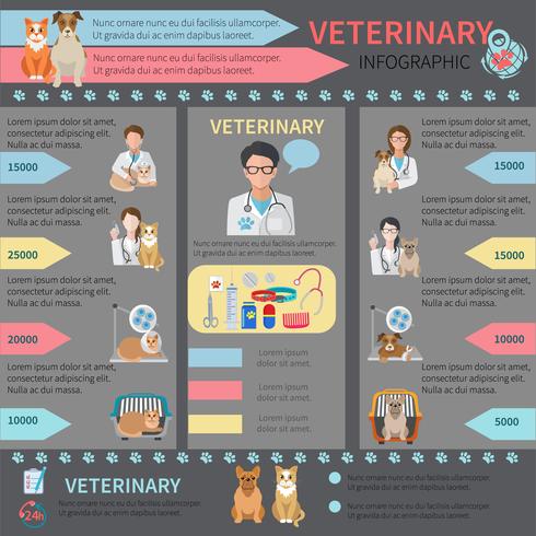 Conjunto de infográfico veterinário vetor