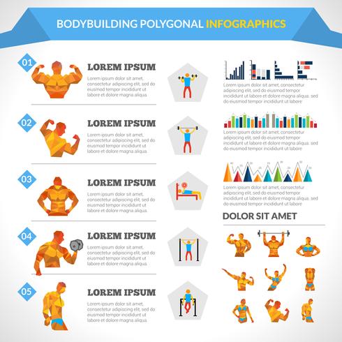 Infografia poligonal de musculação vetor