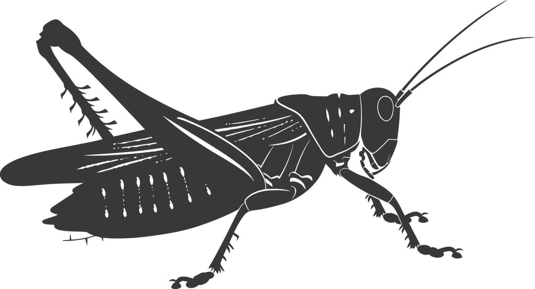 ai gerado silhueta gafanhoto inseto animal Preto cor só vetor