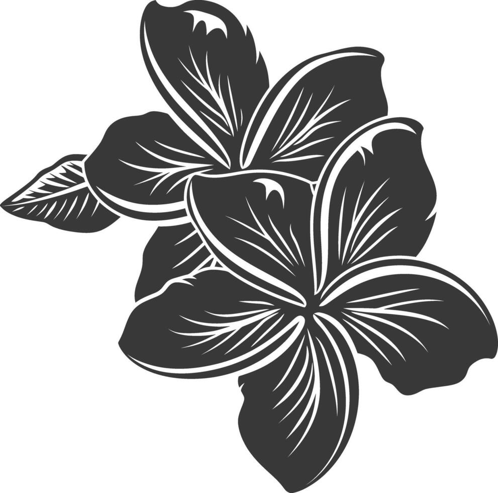 silhueta plumeria flor Preto cor só vetor