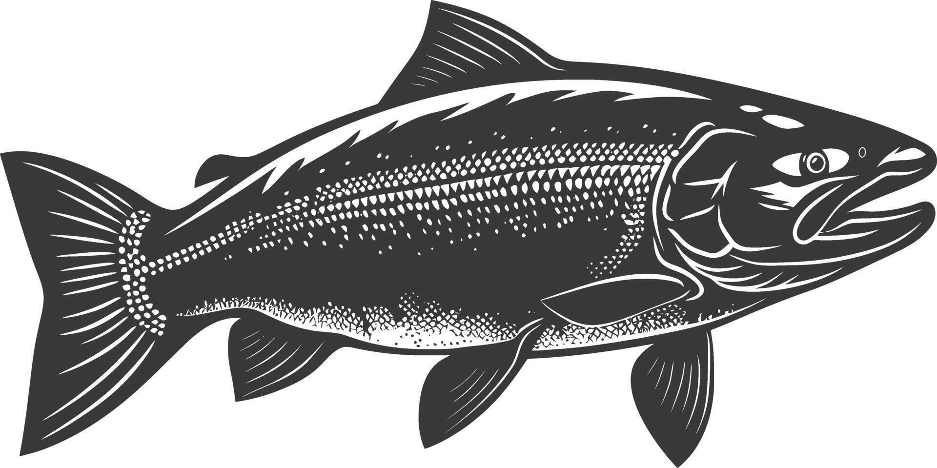 silhueta salmão peixe animal Preto cor só cheio corpo vetor