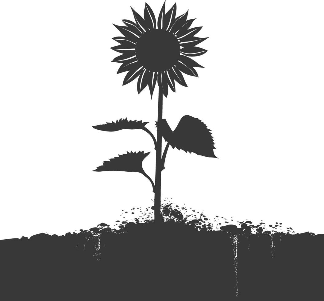 silhueta girassol flor dentro a terra Preto cor só vetor