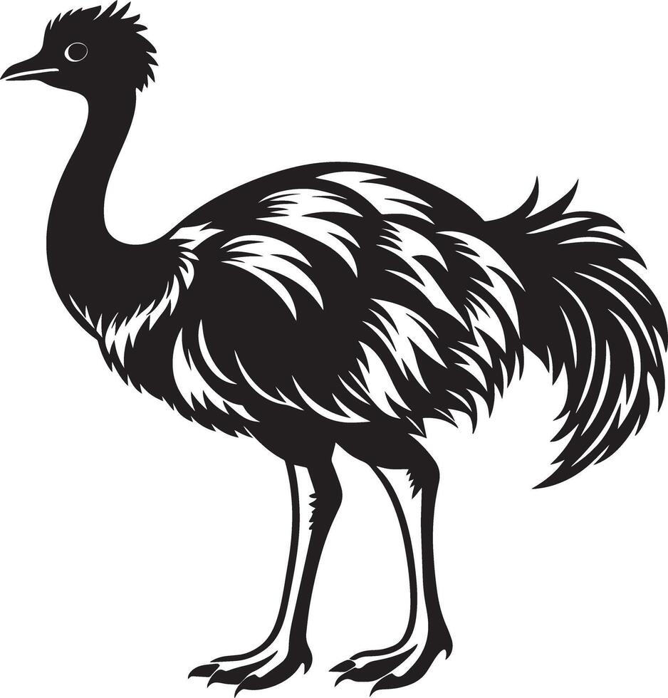 emu silhueta - Preto e branco ilustração. vetor