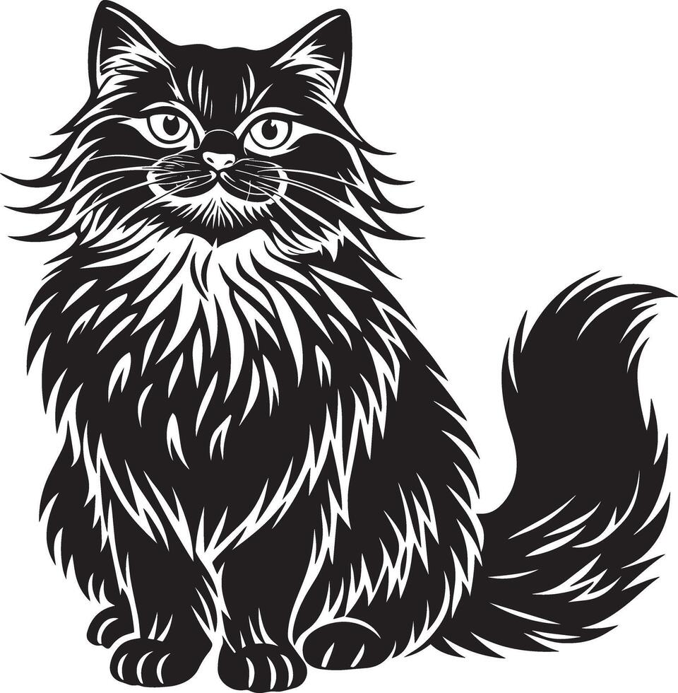 maine coon gato - Preto e branco ilustração, . vetor