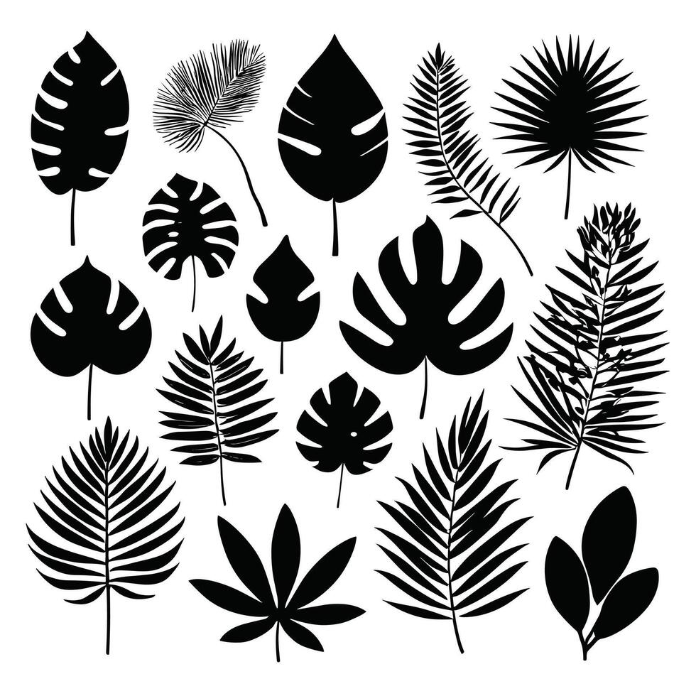 exótico folha conjunto coleção do tropical folhas silhueta vetor