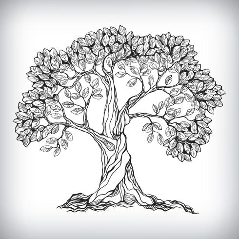 Mão desenhada árvore símbolo vetor