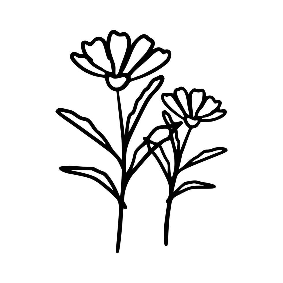 desenhado à mão botânico floral vetor