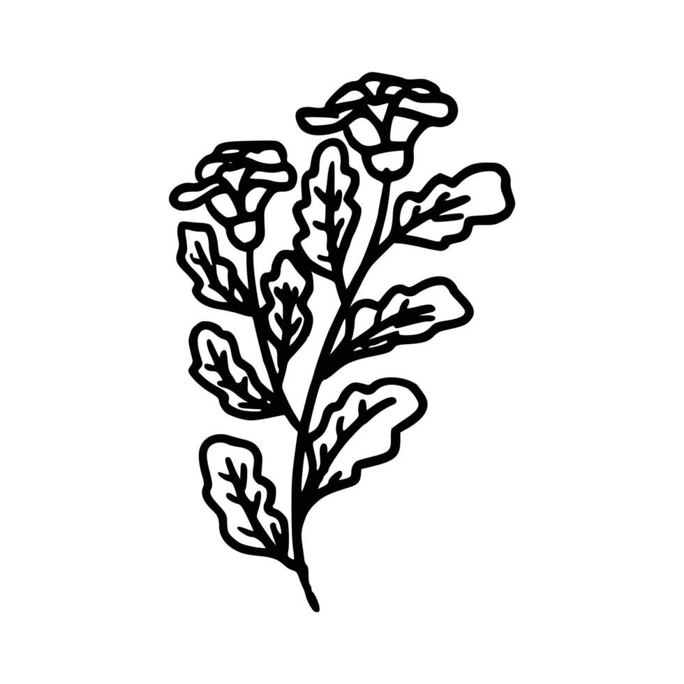 desenhado à mão flor e folhas vetor