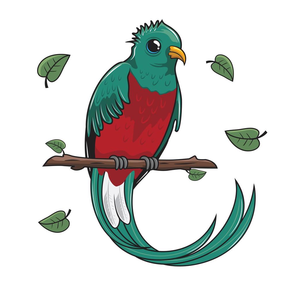 ilustração dos desenhos animados do pássaro quetzal isolada vetor