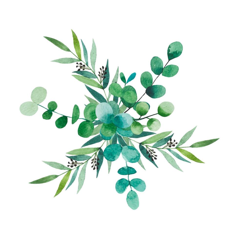 ramalhete do aguarela folhagem. eucalipto galhos. mão desenhado botânico ilustração vetor