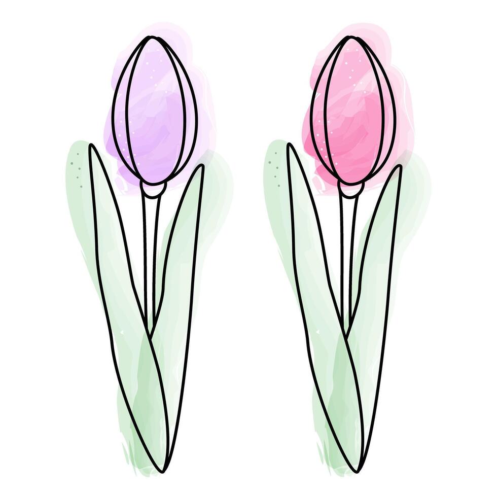 conjunto do 2 tulipas dentro aguarela maneiras. Projeto elementos para primavera saudações ou cartões. isolar vetor
