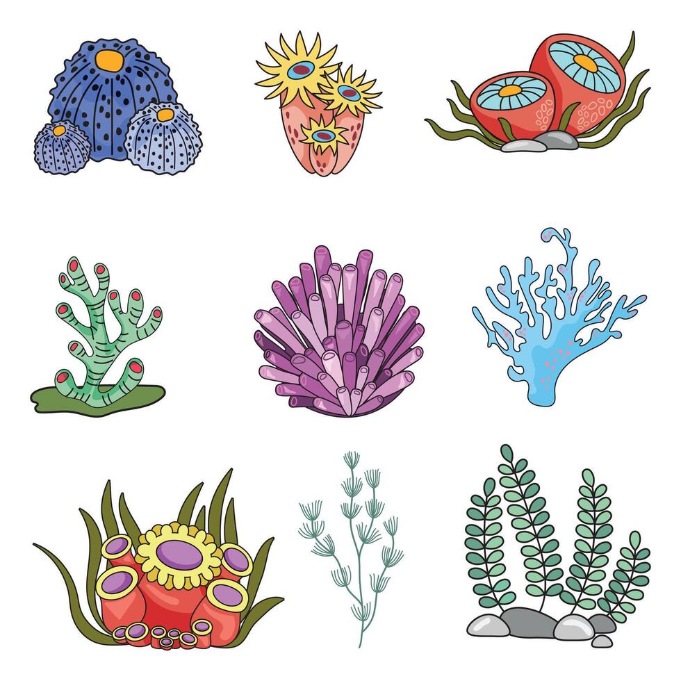 marinho definir, anêmonas, algas e coral dentro uma simples desenho animado estilo. cor gráficos para livros e cartazes. crianças guias vetor
