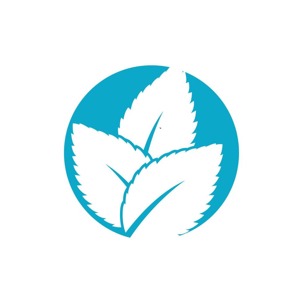 hortelã folha logotipo modelo símbolo Projeto vetor