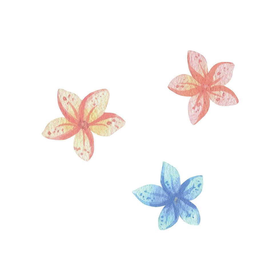 simples, fofa plumeria e frangipani flores aguarela ilustração, mão desenhado dentro pastel cores rosa, pêssego, coral, turquesa, azul, hortelã. conjunto do elementos isolado a partir de fundo. vetor