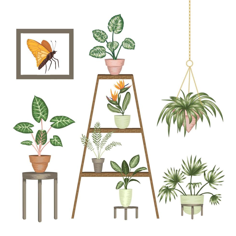 ilustração em vetor de plantas de casa tropicais em vasos em um suporte isolado no fundo branco. monstera realista brilhante, alocasia, dieffenbachia, cordyline. elementos de design para decoração de casa.