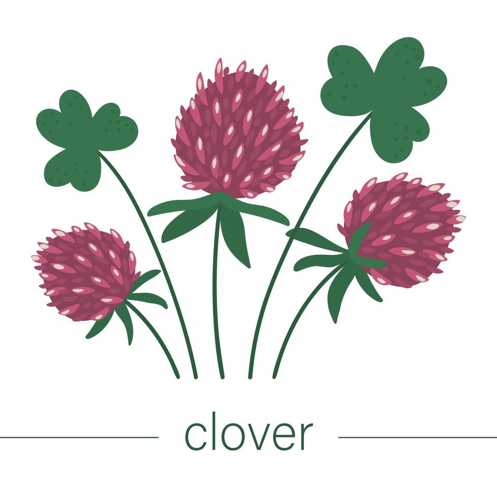 ilustração em vetor trevo plana. flores bonitas da primavera. primeiras plantas florescendo. clipart floral isolado no fundo branco.