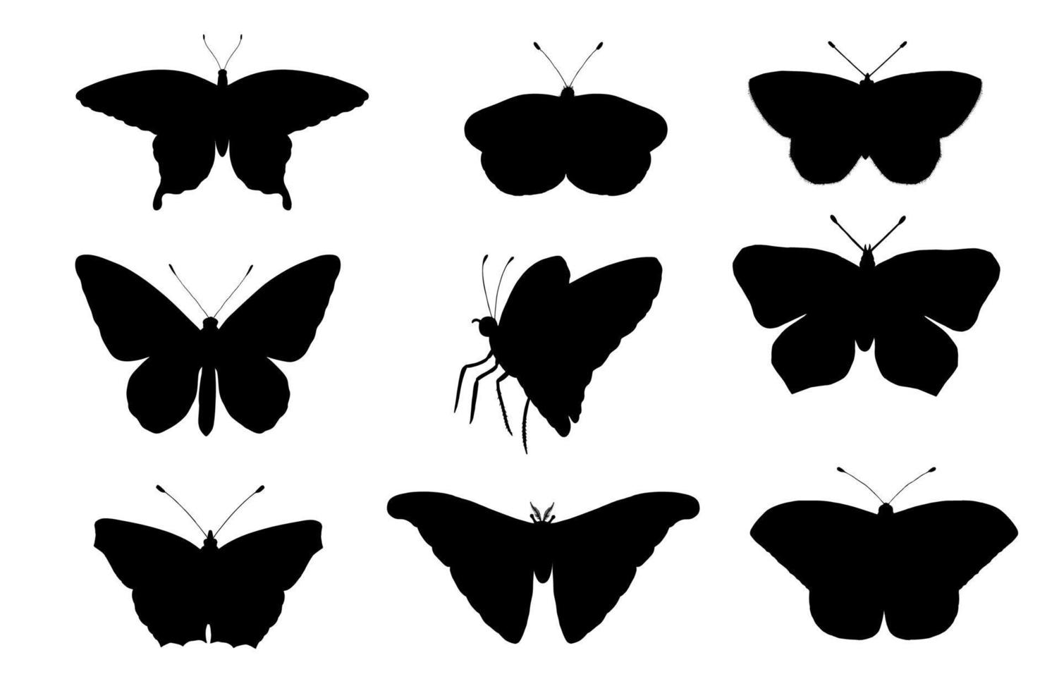 conjunto de vetores de borboletas. mão desenhada silhuetas negras de traça atlas, gorgulho, borboleta, goliath, besouro de hércules, mosca espanhola. conjunto de contornos de insetos tropicais