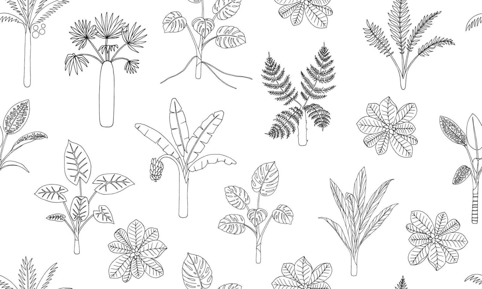 padrão sem emenda de vetor de plantas tropicais. repetir o fundo da folhagem da selva. palmeira desenhada à mão, banana, monstera, dieffenbachia, terminália, samambaia, alocasia, cordilina. papel de parede tropical em casa