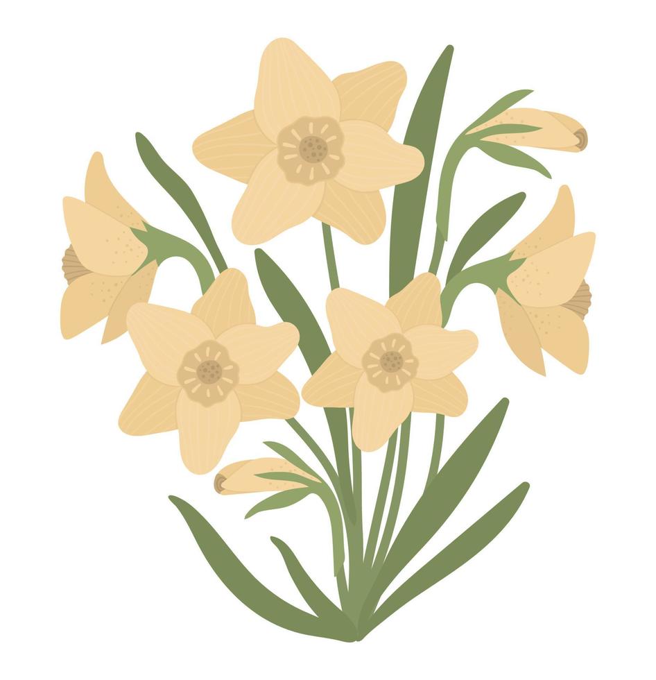ilustração em vetor de buquê de narciso isolado no fundo branco. símbolo tradicional de primavera e elemento de design.