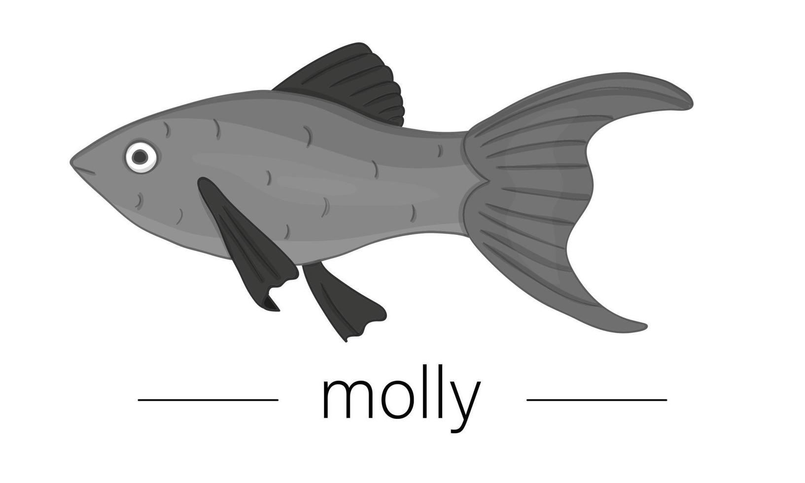 ilustração colorida do vetor de peixes de aquário. foto fofa de molly para lojas de animais ou ilustração infantil