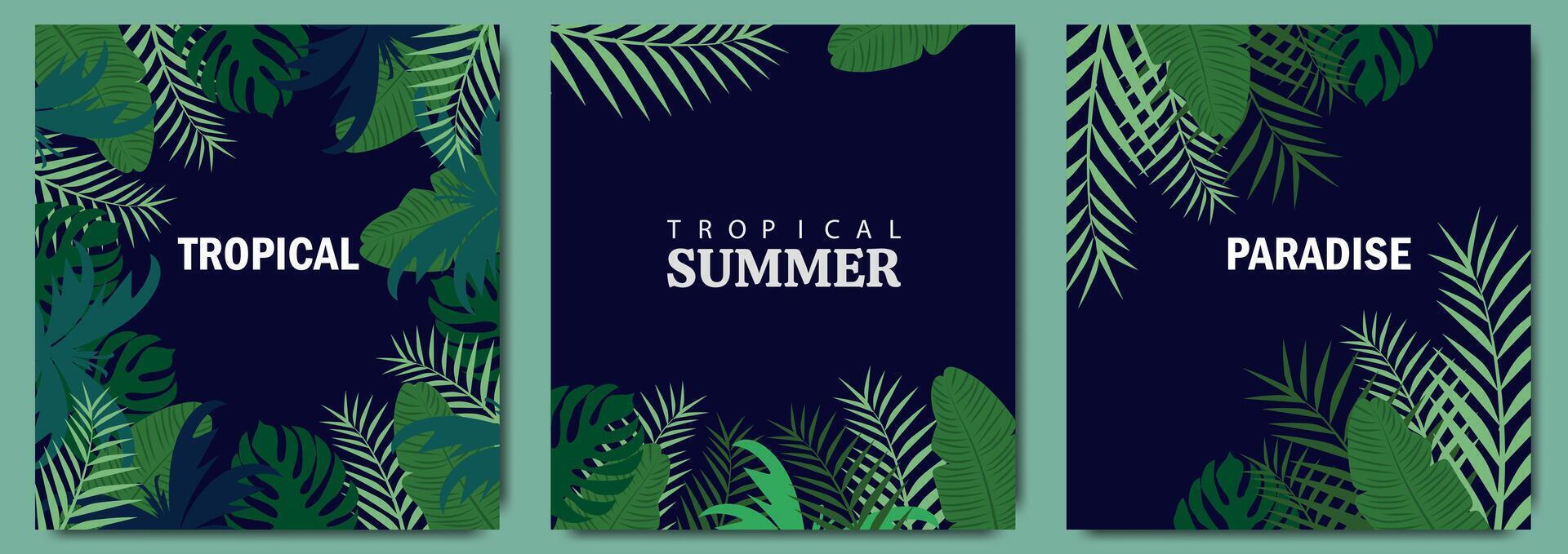 conjunto do poster modelos com tropical folhas em uma Sombrio fundo. colorida brilhante Palma folhas, monstro, alocasia, banana, filodendro. ilustração com tropical paraíso. vetor