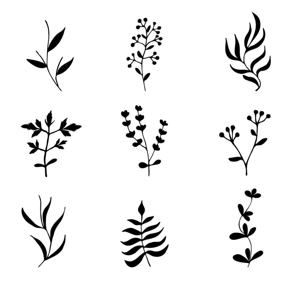 ilustração do silhuetas do folhas e galhos do plantas. conjunto do Preto silhuetas em uma branco fundo. vetor