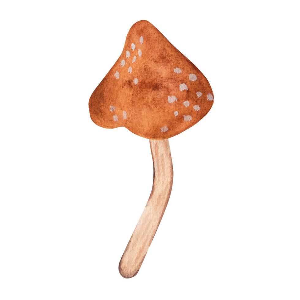 mosca agaric. desenho animado estilo, mão desenho. aguarela ilustração vetor