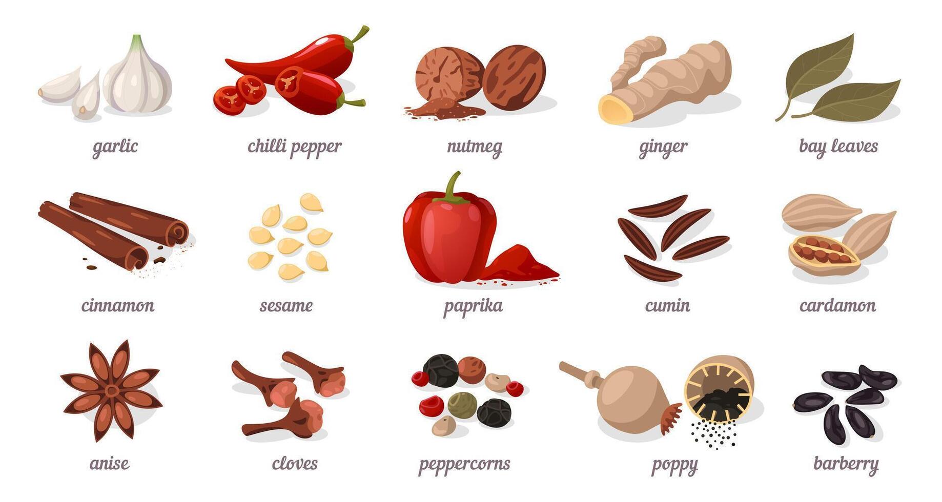 desenho animado especiarias. plano seco ervas e condimentos para culinária, diferente sementes e folhas do ásia e indiano cozinha. isolado conjunto vetor