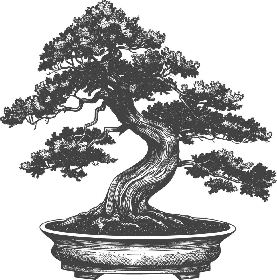 bonsai árvore imagens usando velho gravação estilo corpo Preto cor só vetor