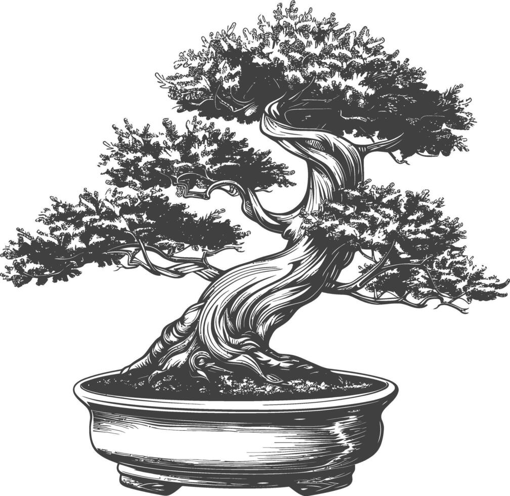 bonsai árvore imagens usando velho gravação estilo corpo Preto cor só vetor