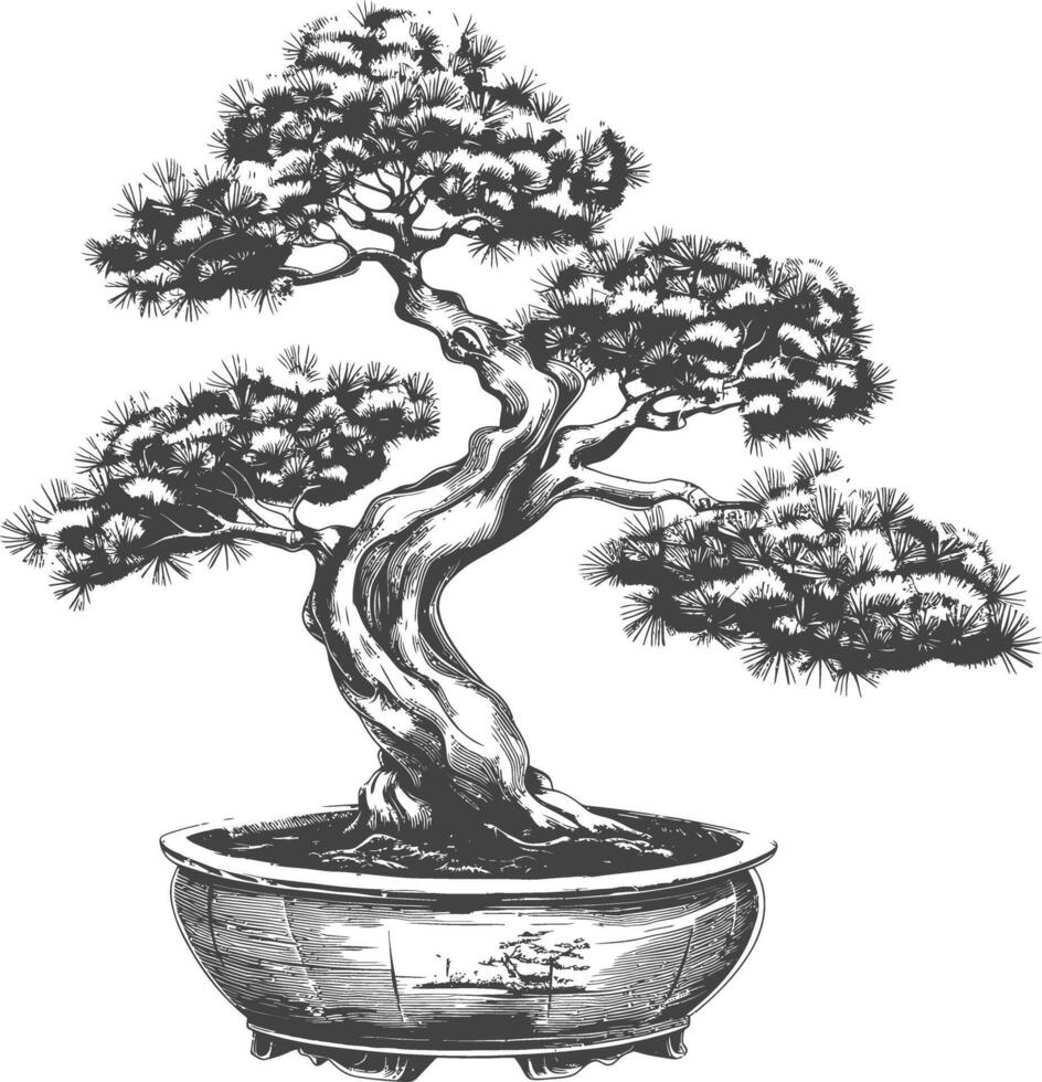 bonsai árvore imagens usando velho gravação estilo corpo Preto cor só vetor