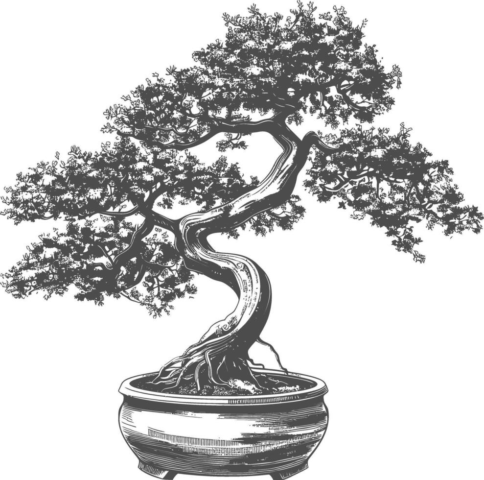 bonsai árvore imagens usando velho gravação estilo corpo Preto cor só vetor