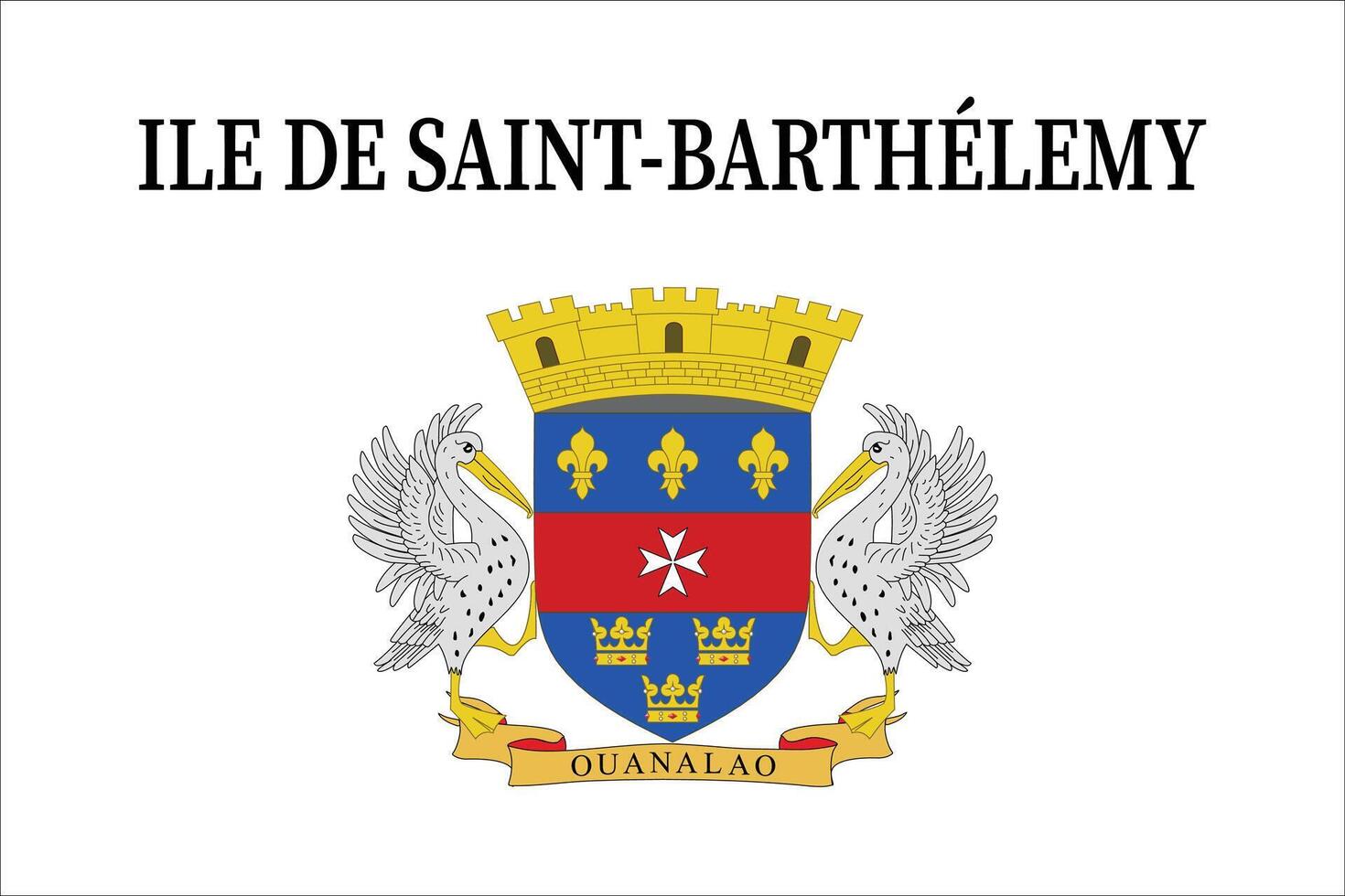 bandeira do santo Barthelemy vetor