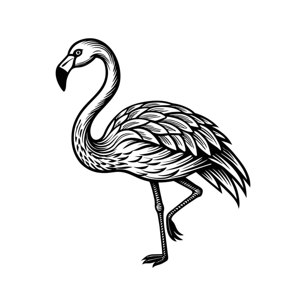Preto flamingo isolado em branco fundo vetor