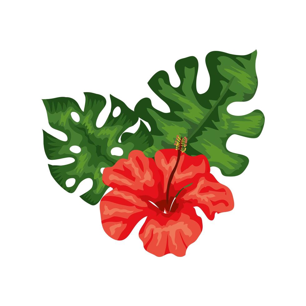 flor natural de cor vermelha com folhas tropicais vetor