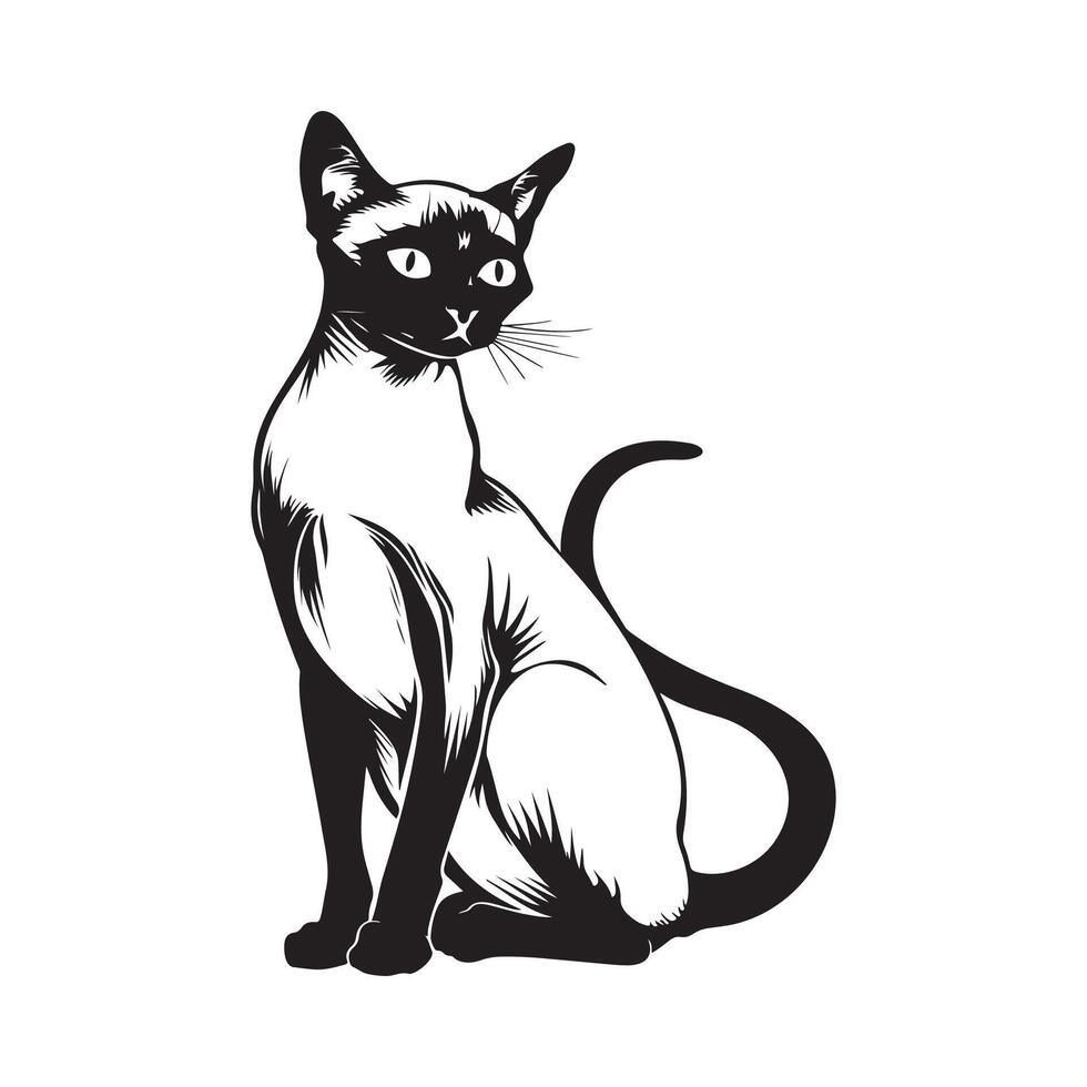 siamês gato desenho, imagem e ilustrações vetor