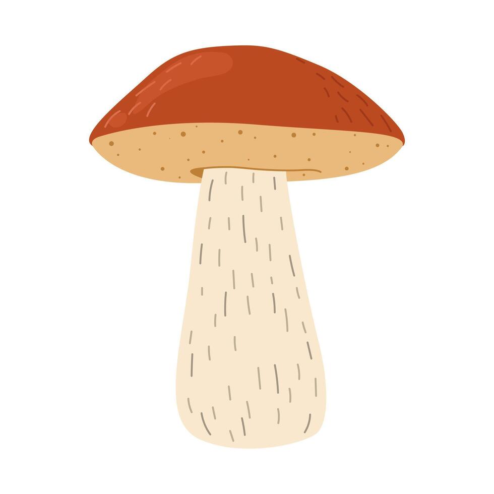 laranja bétula bolete cogumelo. leccinum fungos. comestível floresta cogumelos. vegetariano fungos Castanho boné boleto. botânico plano ilustração isolado em branco fundo. vetor