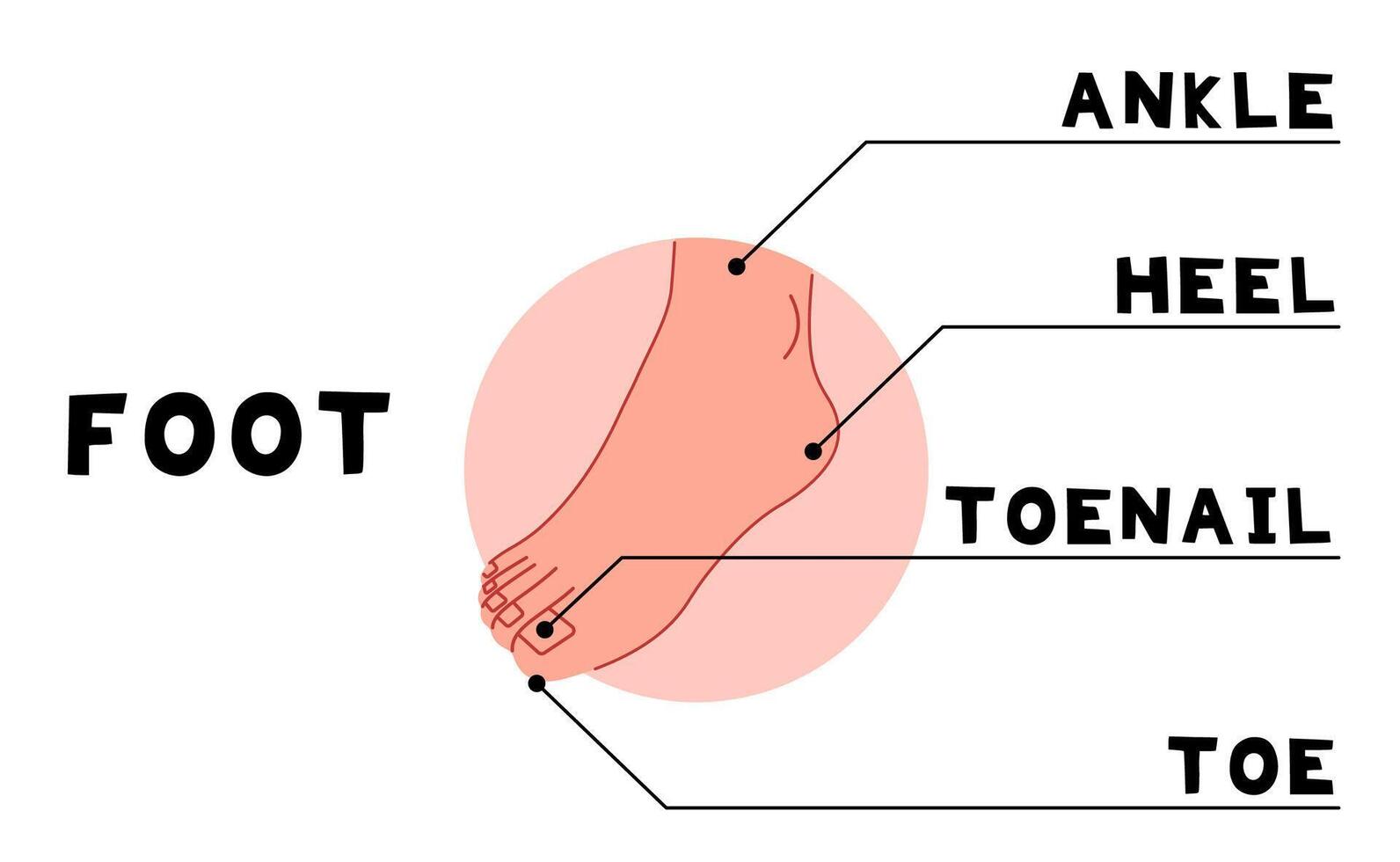 corpo partes pé 10 fofa em uma branco fundo, ilustração. vetor