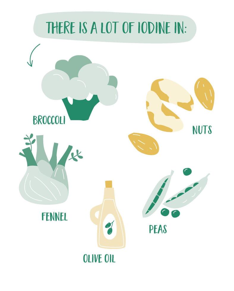 plano Projeto conjunto do rico em iodo alimentos gostar brócolis, nozes, ervilhas, Oliva óleo, e funcho. a infográfico do equilibrado nutrição e tireoide saúde. vetor