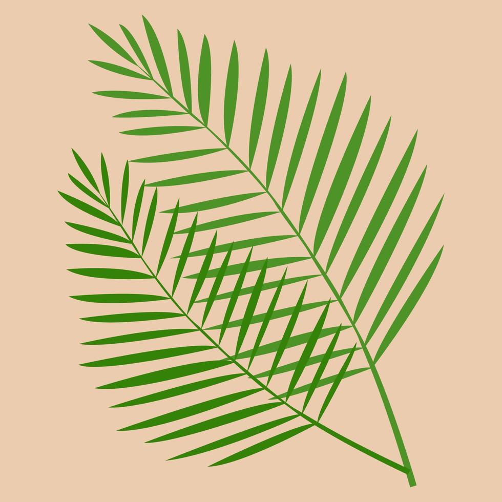 folha de palmeira tropical para decoração e interior. vetor