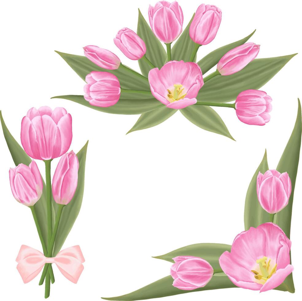 desenhado à mão Rosa tulipas - Primavera flor ilustração vetor