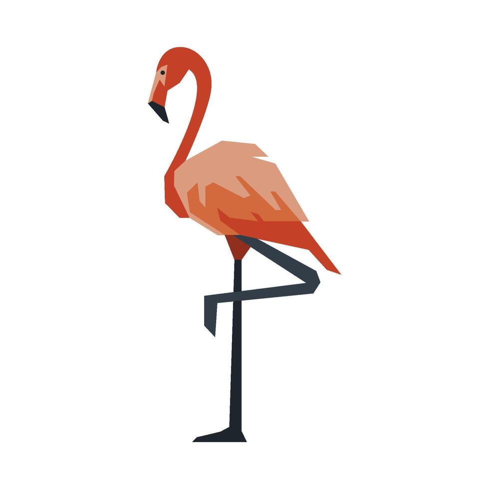 ilustração do flamingo pássaro vetor